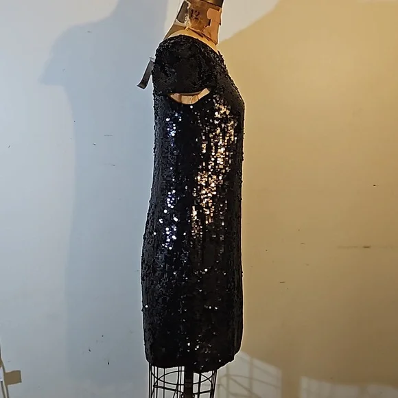 Sequins anyone?   Darling NWT Banana Republic size 4 dress - Picture 8 of 13